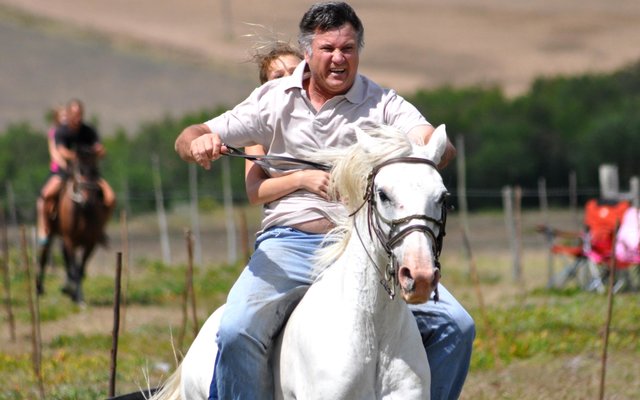 Gansbaai Perde Boersport BBos 1_1